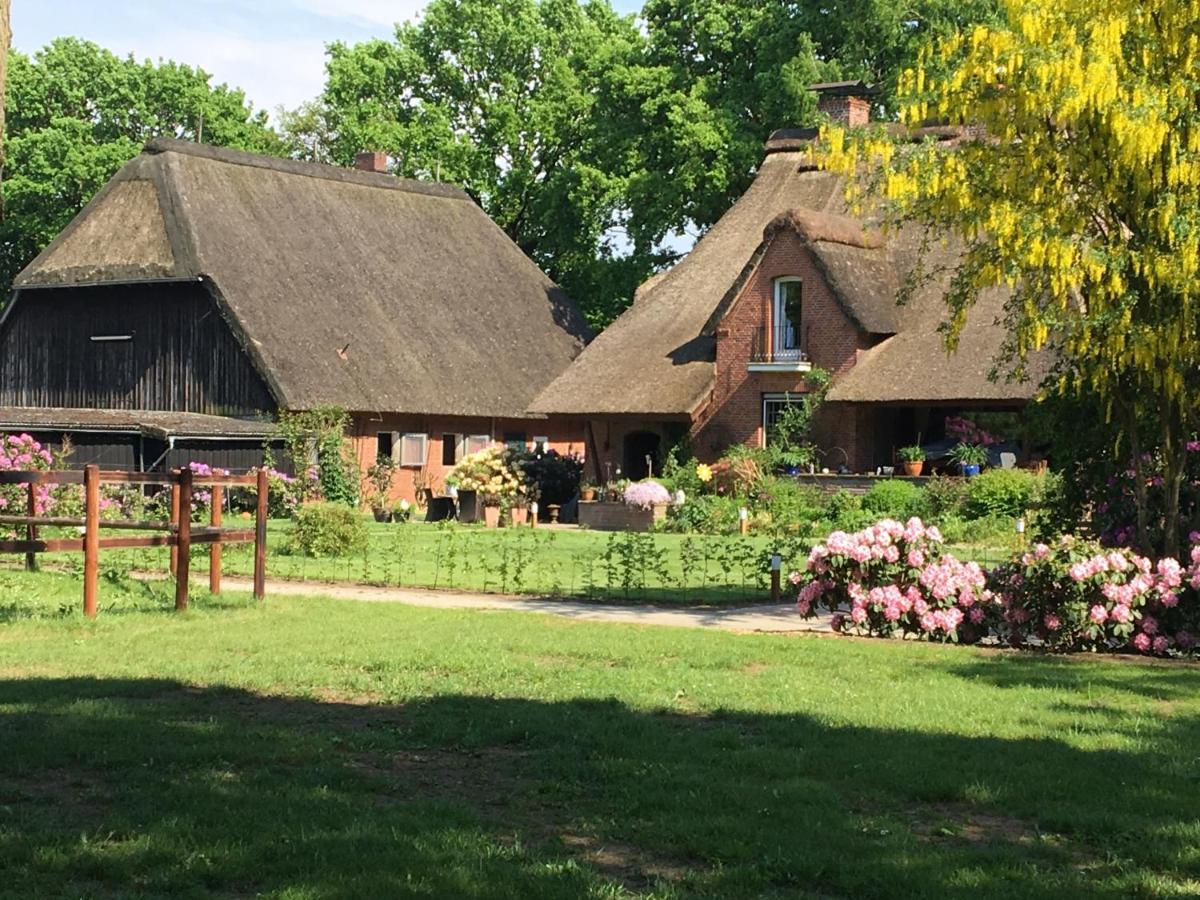Huck'S Ferienhaeuser Borstel  Extérieur photo