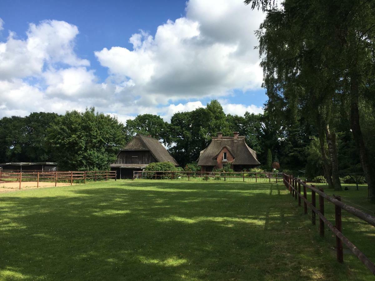 Huck'S Ferienhaeuser Borstel  Extérieur photo